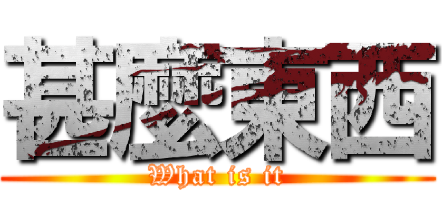 甚麼東西 (What is it)