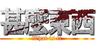 甚麼東西 (What is it)
