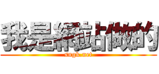 我是網站做的 (sngk.net)