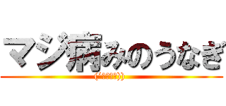 マジ病みのうなぎ ((´・ω・｀)) )