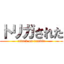 トリガされた (attack on tumblr)