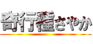 奇行種さやか ()