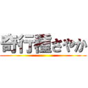 奇行種さやか ()