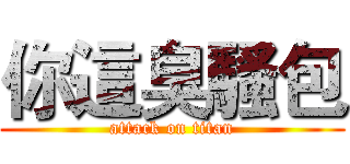 你這臭騷包 (attack on titan)