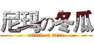尼玛の冬瓜 (attack on titan)