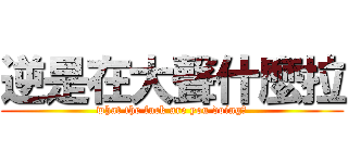 逆是在大聲什麼拉 (what the fuck are you doing？)