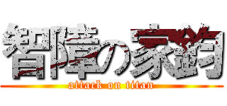 智障の家鈞 (attack on titan)
