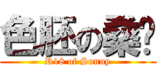 色胚の桑妮 (R18 of Sunny)