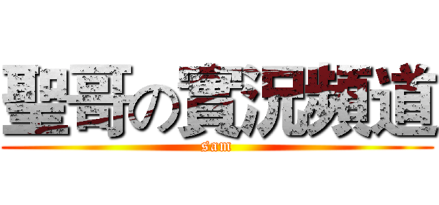 聖哥の實況頻道 (sam)