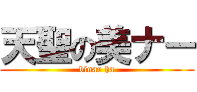 天聖の美ナー (binar ha)