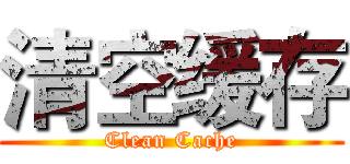清空缓存 (Clean Cache)