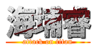 海埔睿 (attack on titan)