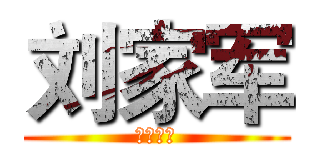 刘家军 (战为大刘)