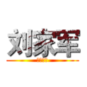 刘家军 (战为大刘)
