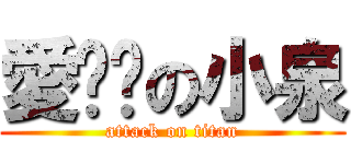 愛貓咪の小泉 (attack on titan)