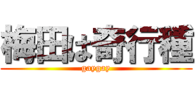 梅田は奇行種 (gaygay)
