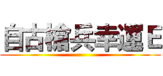 自古槍兵幸運Ｅ ()