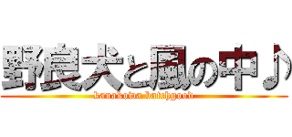 野良犬と風の中♪ (kanakowa batchgood)