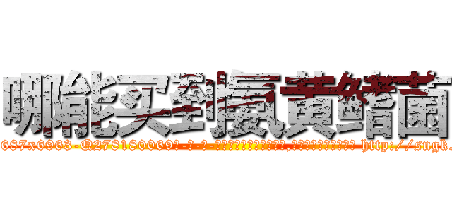 哪能买到氨黄鳍菌 (哪能买到氨黄鳍菌【电-186x2687x6963-Q278180069元-吉-药-业】我们做的是长期生意,靠的是老客户长期支持 http://sngk.net/7MMXZP
)
