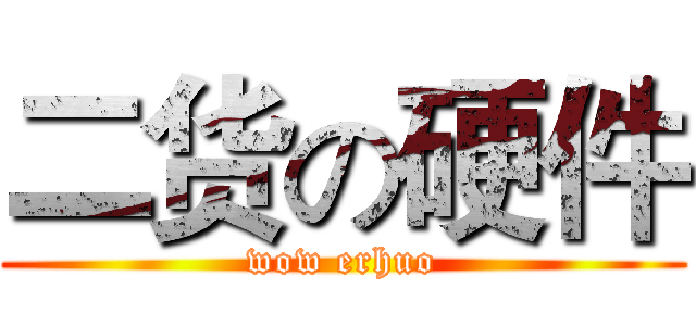 二货の硬件 (wow erhuo)