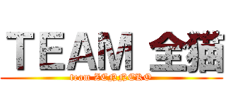 ＴＥＡＭ 全猫 (team ZENNEKO)