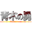 青木の勇 (Aoki isao )