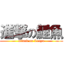 進撃の鯉魚 (attack on Leeyu)