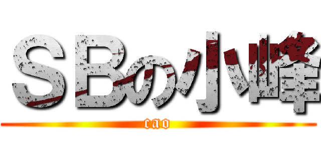 ＳＢの小峰 (cao)