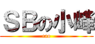 ＳＢの小峰 (cao)