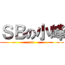 ＳＢの小峰 (cao)