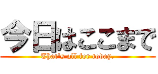 今日はここまで (That's all for today.)