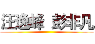 汪逸峰  彭非凡 ()