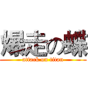 爆走の蝶 (attack on titan)