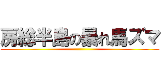 房総半島の暴れ馬ズマ ()