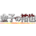 金子の祐也 (attack on titan)