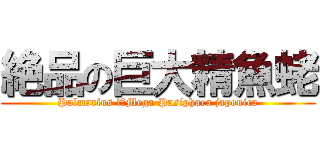 絶品の巨大精魚蛯 (Palmarius 　　Mega Pasiphaea japonica)