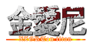 金愛尼 (XZGRTon titan)