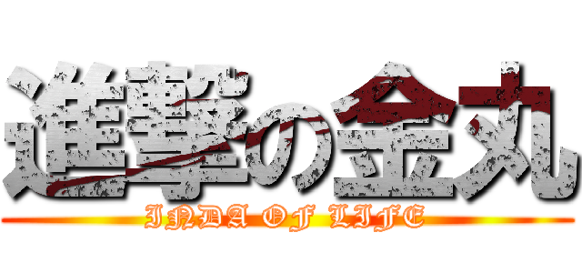 進撃の金丸 (INDA OF LIFE)