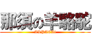 那須の羊駱駝 (ALPACAi)