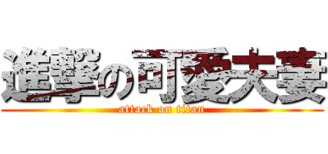 進撃の可愛夫妻 (attack on titan)