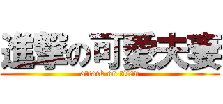 進撃の可愛夫妻 (attack on titan)