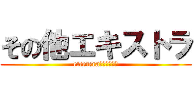 その他エキストラ (etcetera･･････)