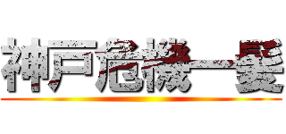 神戸危機一髪 ()