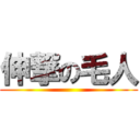 伸撃の毛人 ()