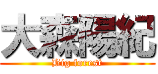 大森陽紀 (Big forest)