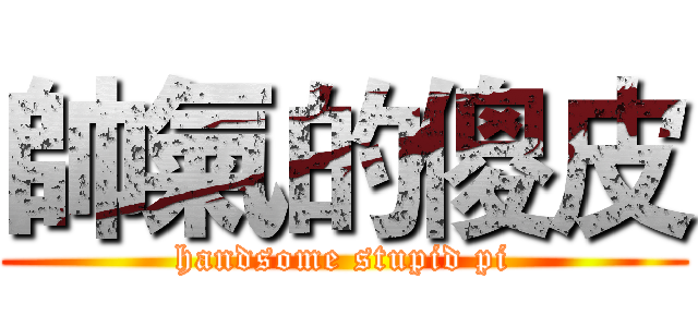 帥氣的傻皮 (handsome stupid pi)