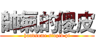帥氣的傻皮 (handsome stupid pi)