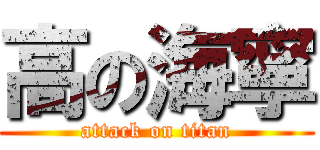 高の海寧 (attack on titan)