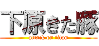 下原きた豚 (attack on titan)