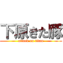 下原きた豚 (attack on titan)